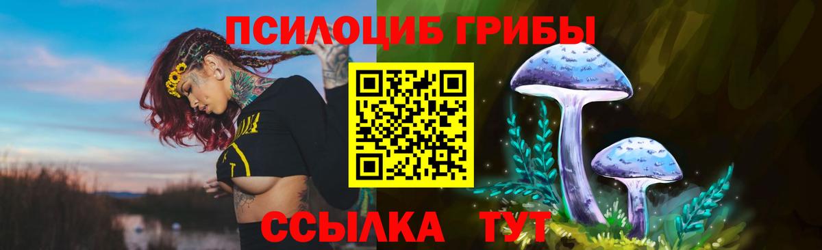 Галлюциногенные грибы Magic Shrooms Ивантеевка